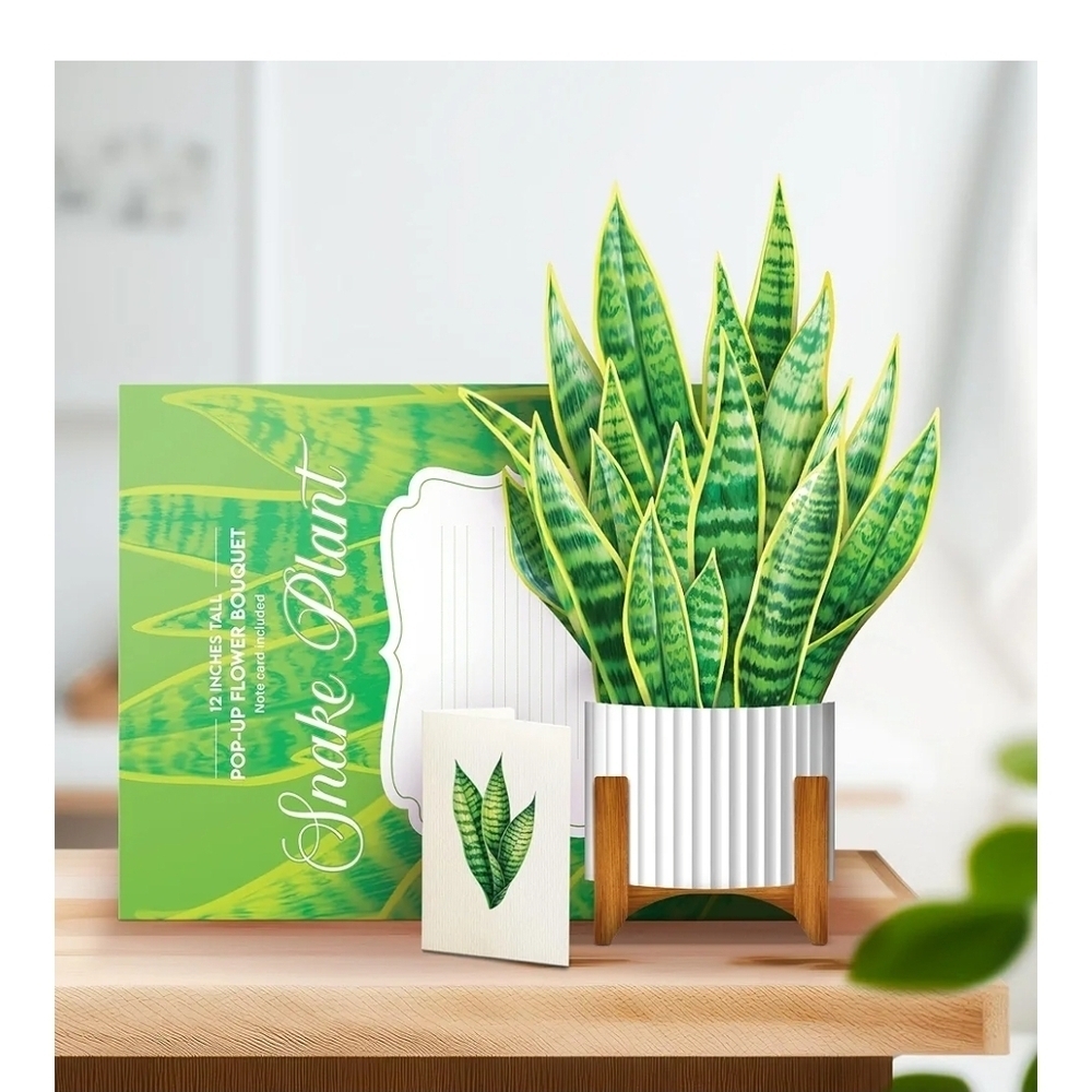 Vibrant Green Snake Plant Pop-Up Card